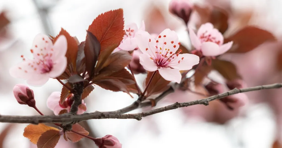 🌅 EPM MORNING BRIEFING — April 14, 2026