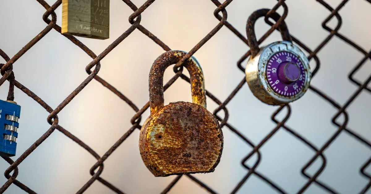 Security Crisis Exposes Deep Vulnerabilities in Federal Protection Systems