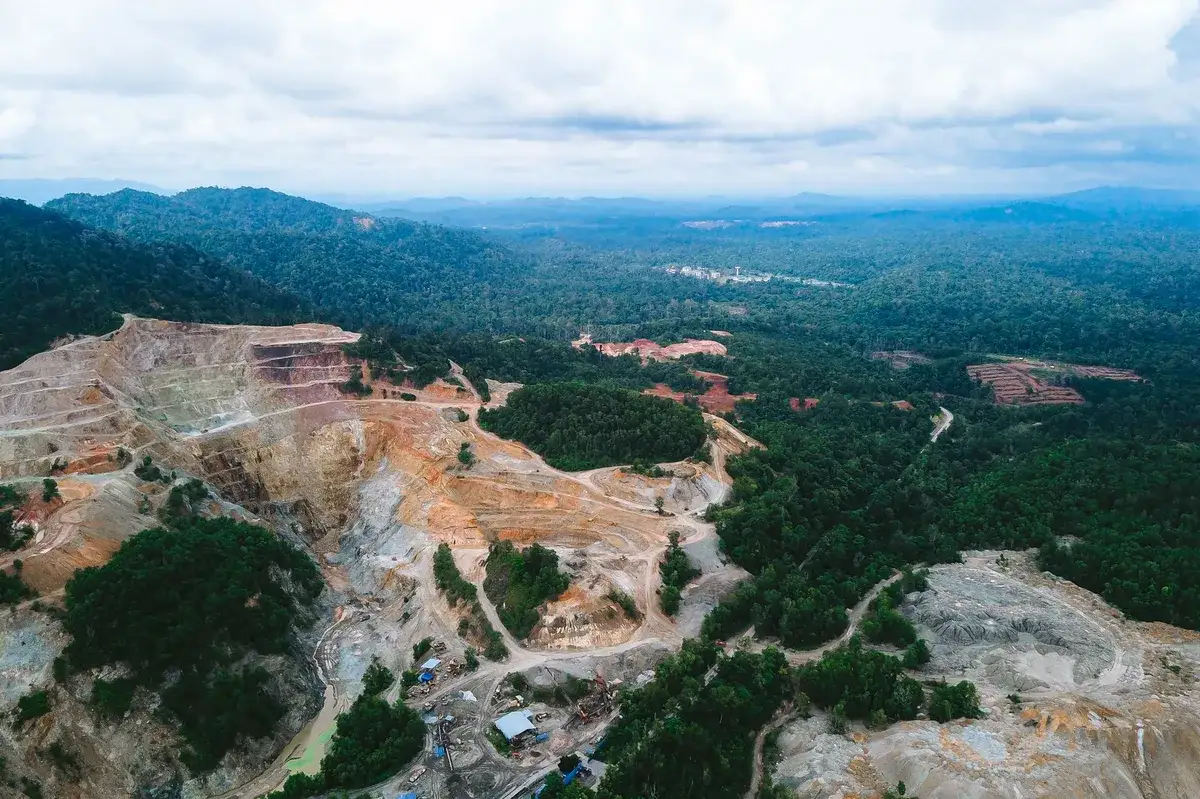Malaysia chooses deforestation over fuel price relief