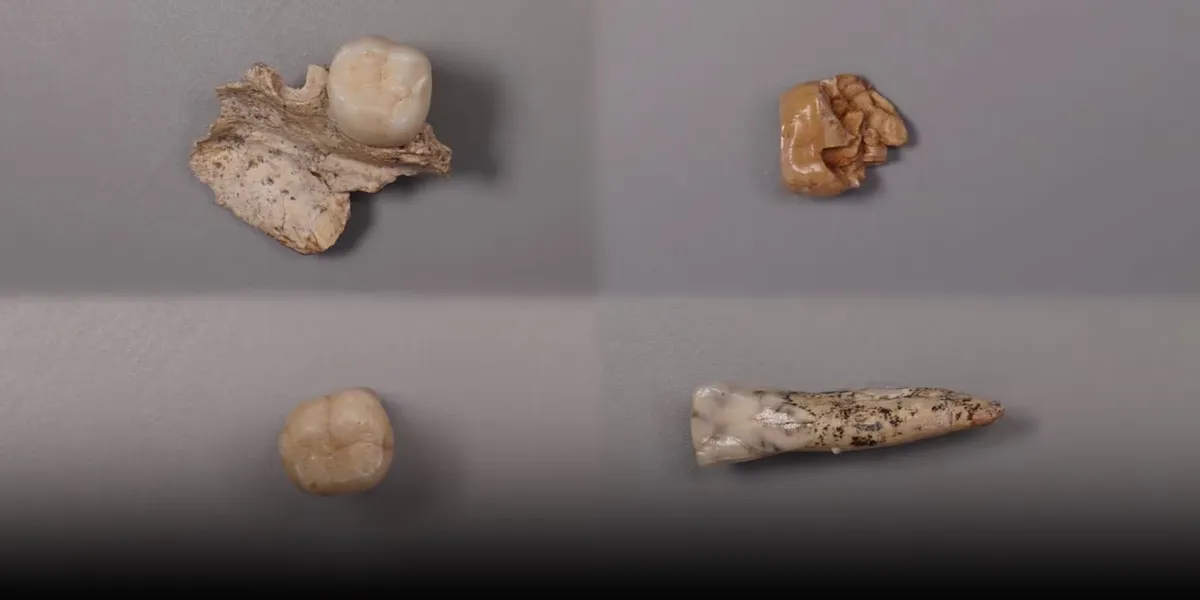 Protecting scientific heritage while unlocking evolutionary mysteries