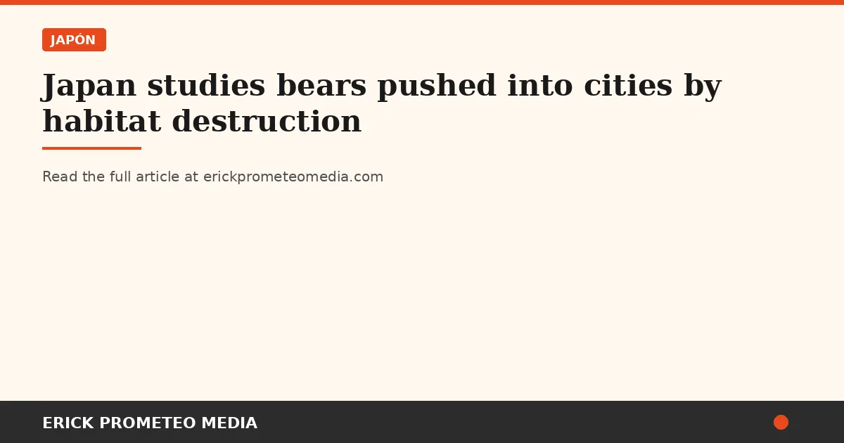 Japan studies bears pushed into cities by habitat destruction