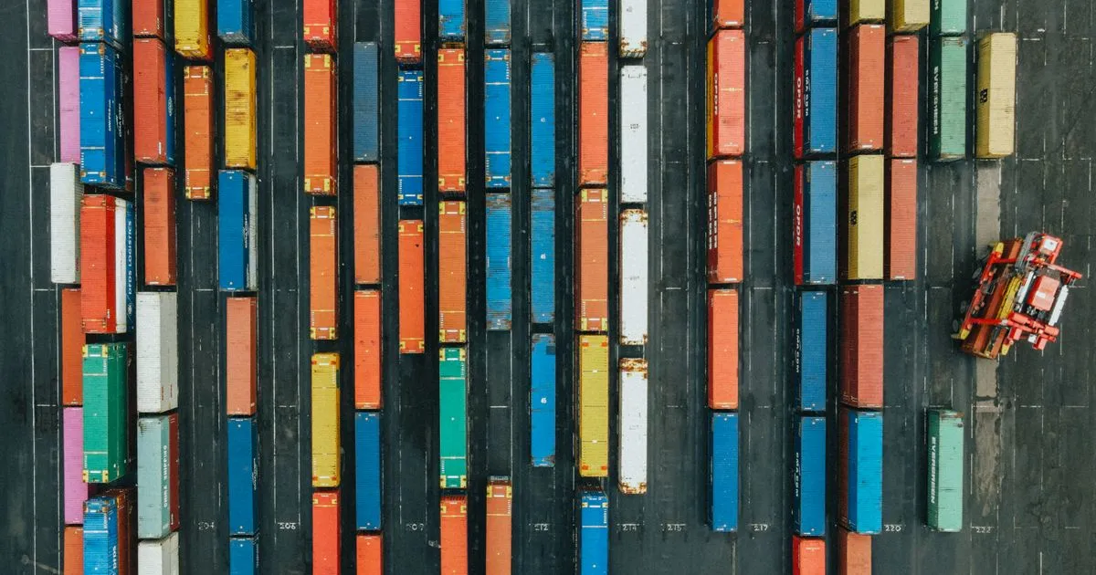 UK supply chains expose millions to food and medicine shortages