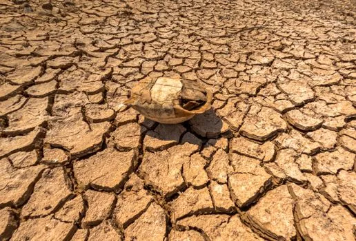 Heat crisis exposes energy inequality: millions face electricity rationing