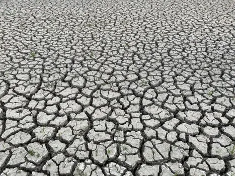 Heat Crisis in France Deepens Inequality Gap for Low-Income Households