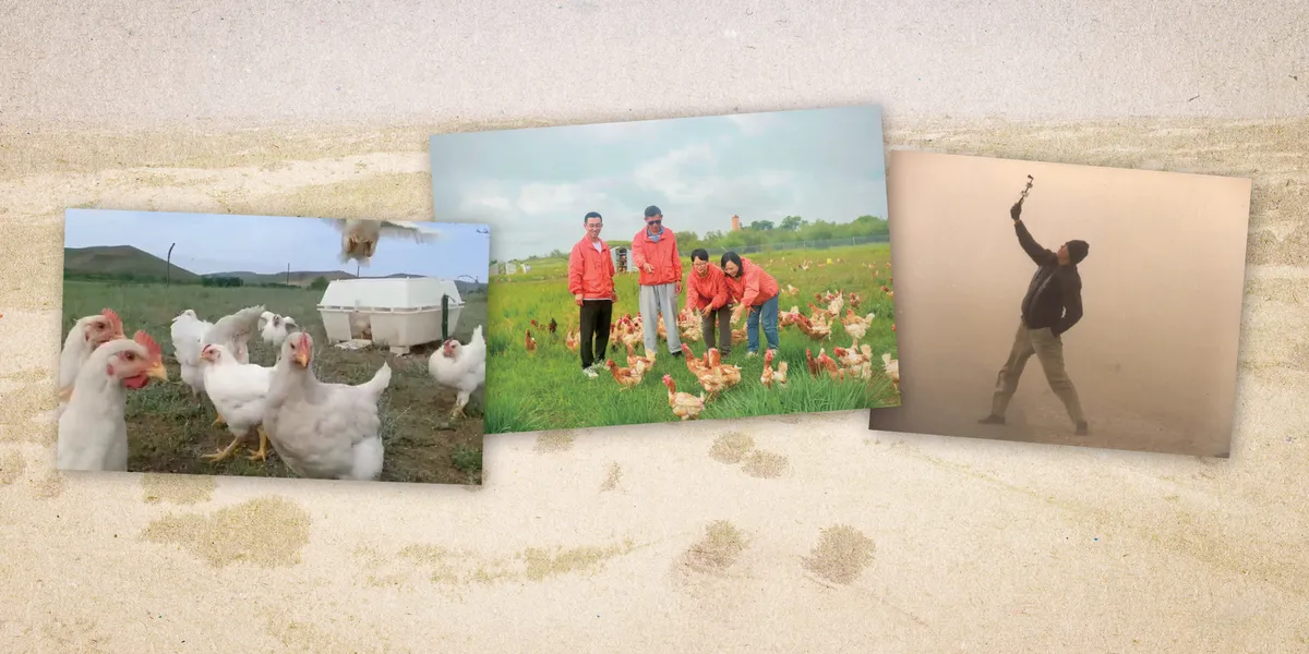 50,000 Chickens Give Rural Chinese Families a Fighting Chance