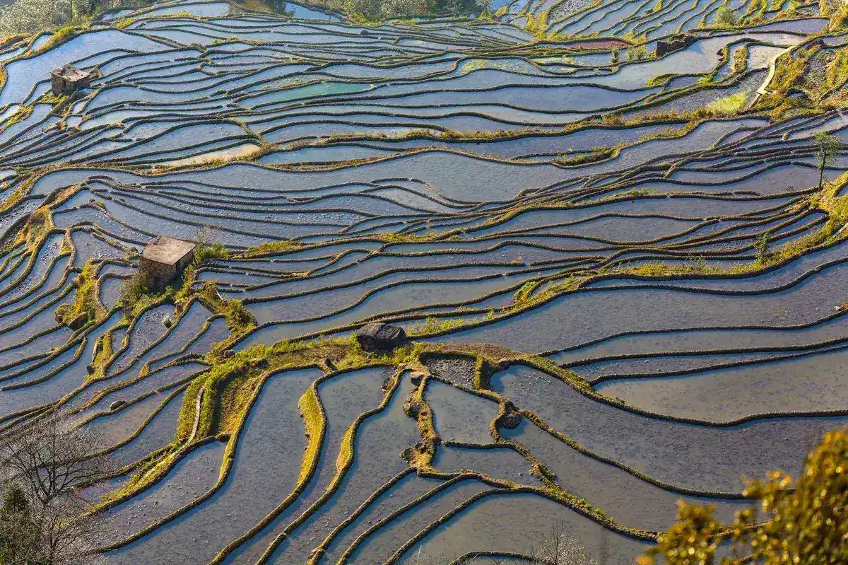 China's flood overhaul comes after years of deadly, costly disasters