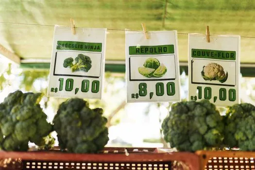 2,500 food price hikes hit Japan households hardest in July