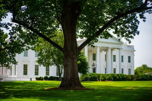 Trump allies' panel clears 250-foot arch, bypassing Washington height rules