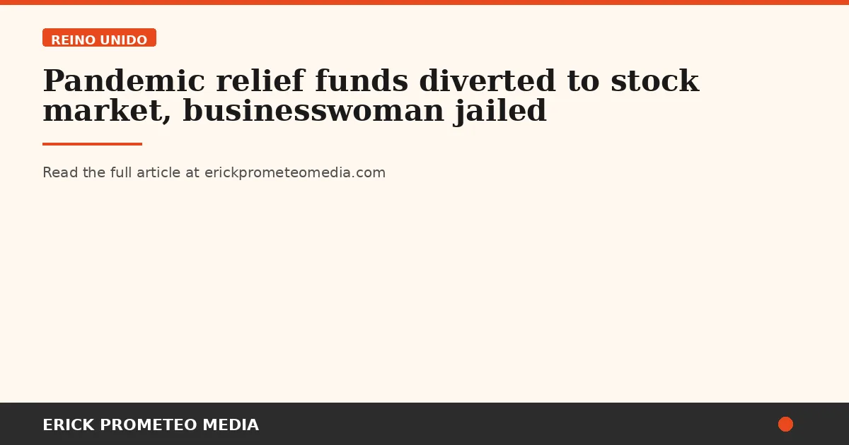 Pandemic relief funds diverted to stock market, businesswoman jailed