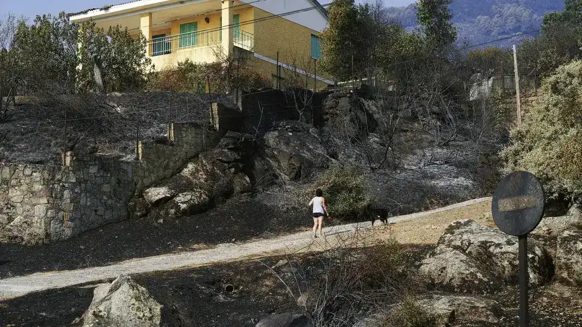 Spain eases wildfire restrictions as conditions improve