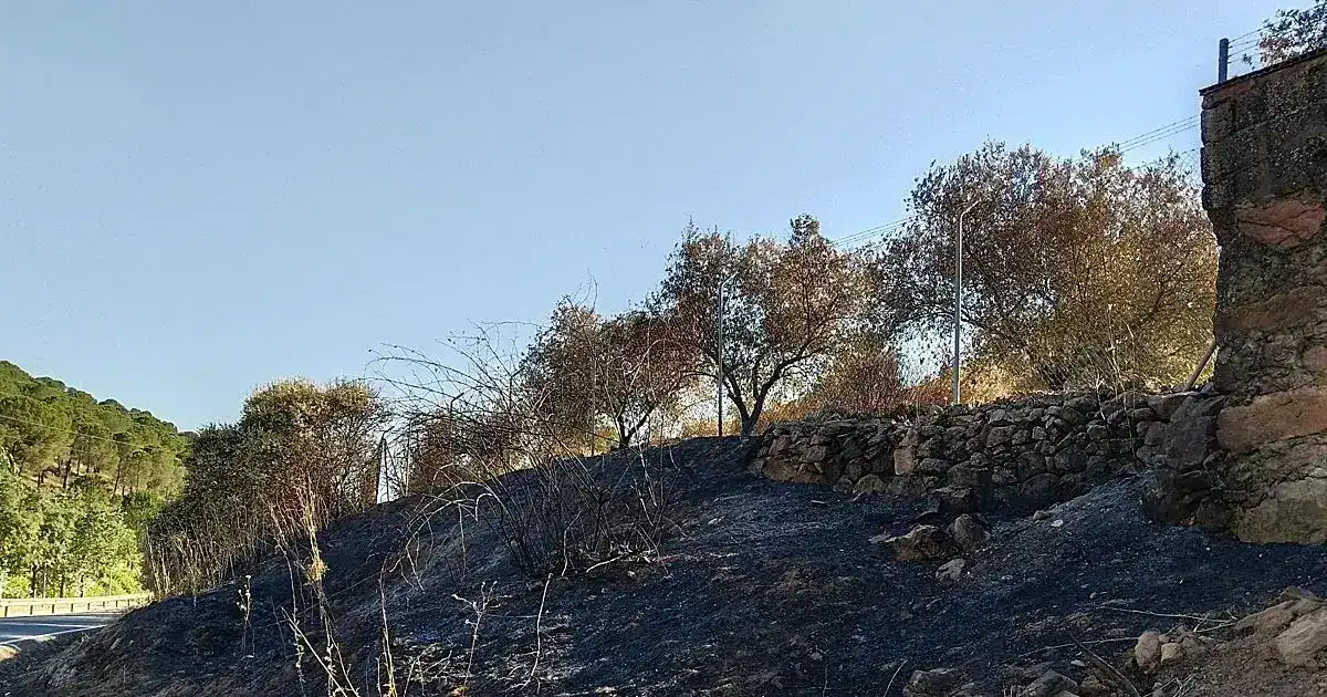 Eight deliberate fires put Córdoba rural community at sustained risk