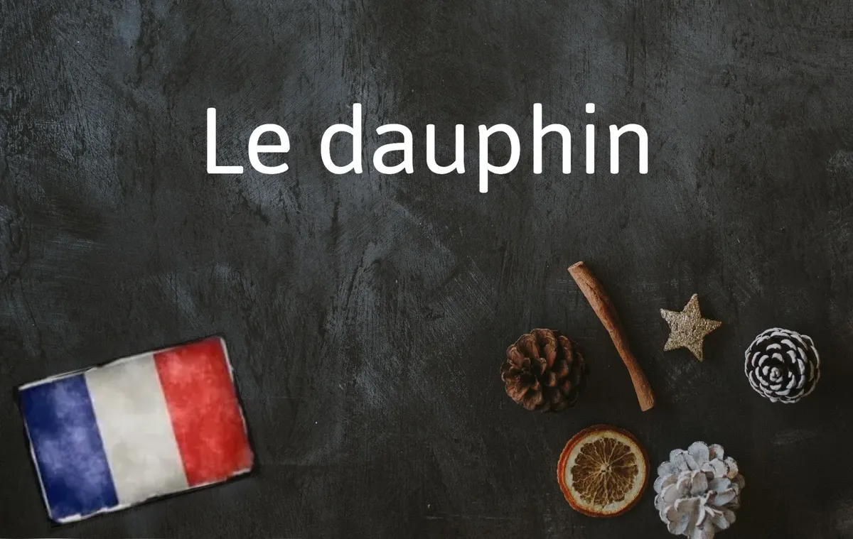 "Le dauphin": how one French word traces royalty, dolphins and political succession