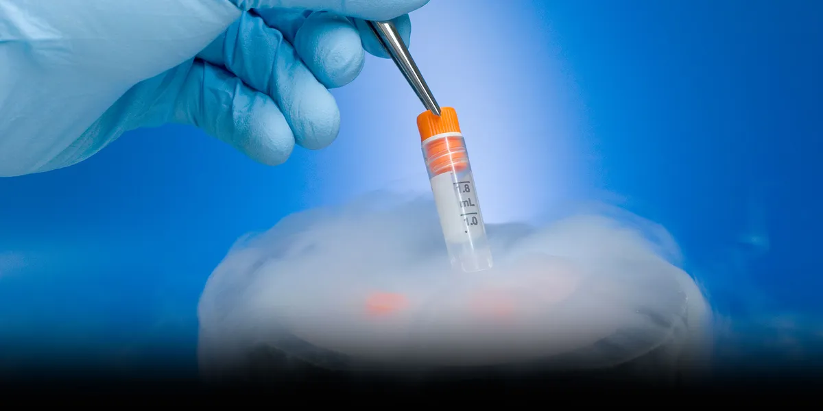 Beijing court affirms widow's right to use frozen embryos from deceased husband