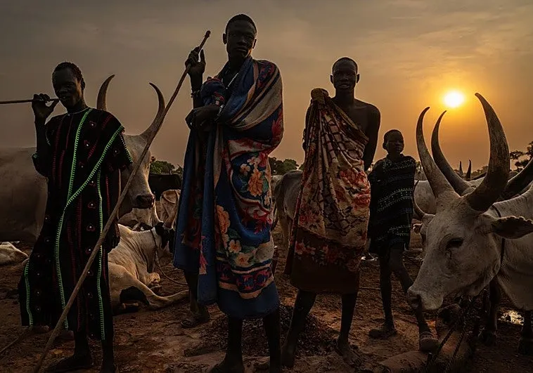 South Sudanese pastoralists fight for cultural survival amid conflict