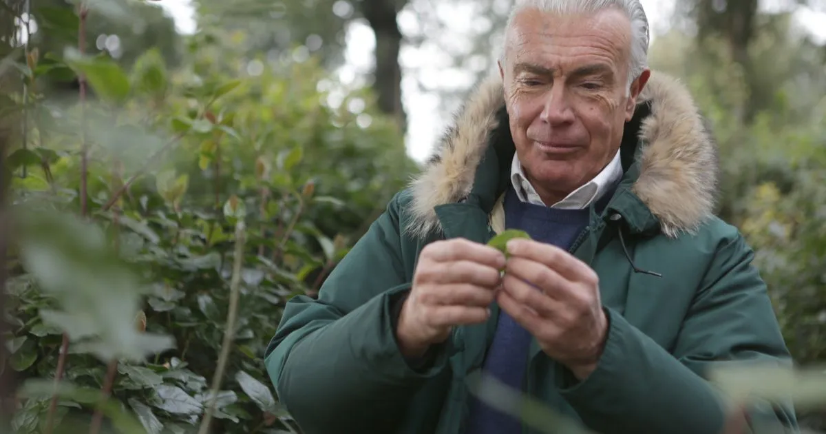 Farage ally's farming proposal threatens working families with food inflation