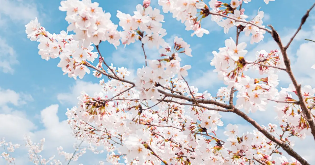 EPM MORNING BRIEFING — April 09, 2026