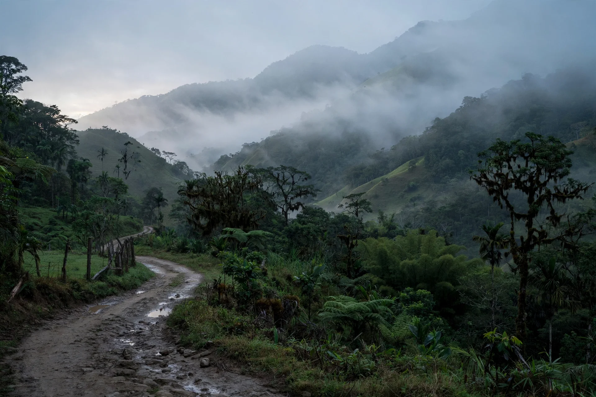 Montañas verdes con niebla y un camino rural vacío al amanecer en el Caquetá
