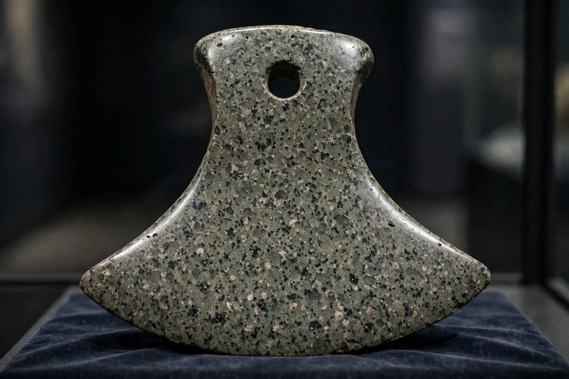Cabeza de hacha de batalla de piedra pulida prehistórica, de diorita moteada, sobre fondo de museo